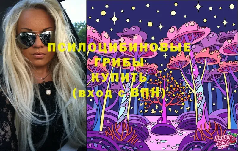 blacksprut маркетплейс  Волхов  Галлюциногенные грибы MAGIC MUSHROOMS  где продают  